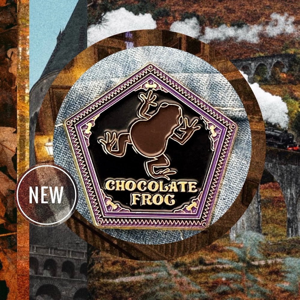 Chocolate Frog Enamel Pin - Harry Potter